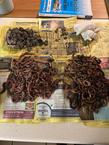 Rockworm/Verm Frozen Foil Pack