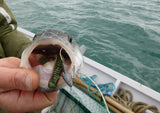 DreamTail - Soft Lures 8.75mm (5pcs)