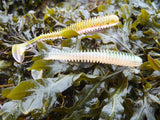 DreamTail - Soft Lures 8.75mm (5pcs)